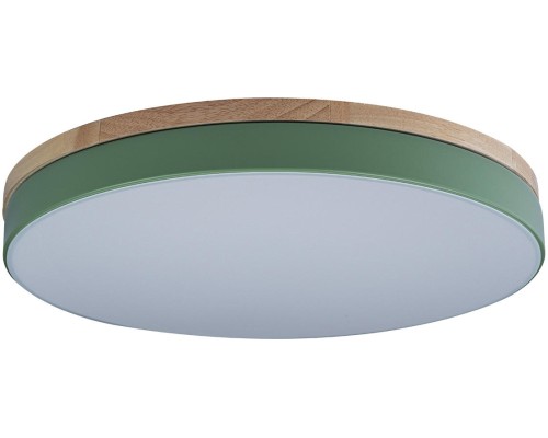 Потолочный светильник Axel 10001/36 Green Loft It