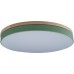 Потолочный светильник Axel 10001/36 Green Loft It