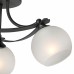 Потолочная люстра  V2564-1/3PL Vitaluce