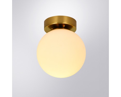Настенно-потолочный светильник Alcor A2224PL-1PB Arte Lamp