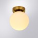 Настенно-потолочный светильник Alcor A2224PL-1PB Arte Lamp