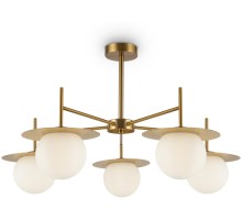 Потолочная люстра Camelia FR5202PL-05BS Freya