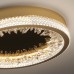 Настенно-потолочный светильник XD XD-50 gold DeLight Collection