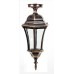 Потолочный светильник уличный ASTORIA 1 L 91305LA cover Gb Oasis Light