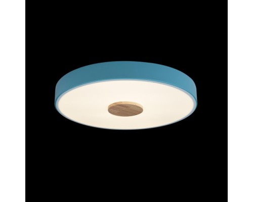 Потолочный светильник Axel 10003/24 Blue Loft It