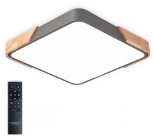 Потолочный светильник Scandinavian LED LAMPS 81412 Natali Kovaltseva