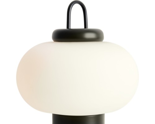 Интерьерная настольная лампа Take FR6175TL-L10B Freya