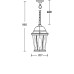 Уличный светильник подвесной ASTORIA 2 91405M Gb овал Oasis Light