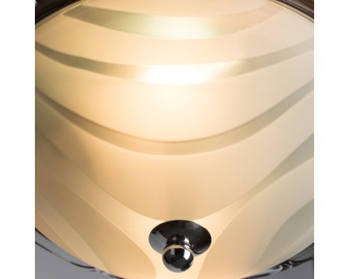 Потолочный светильник Alta A3008PL-2CC Arte Lamp
