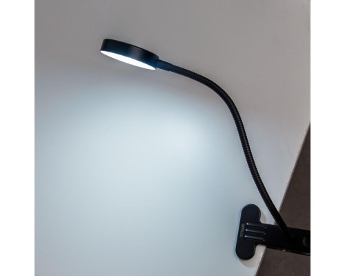 Интерьерная настольная лампа Ньютон CL803071N Citilux