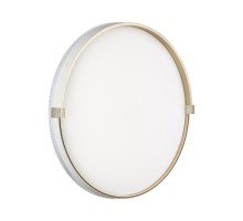 Настенно-потолочный светильник Olidi White 7646/DLN Sonex