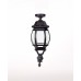 Потолочный светильник уличный AMERICA L 83405LA Bl Oasis Light