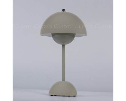 Интерьерная настольная лампа Erma 30133 Cloyd