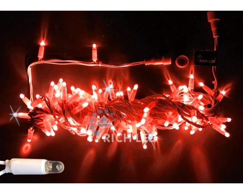Гирлянда  RL-S10CF-24V-CT/R Rich LED