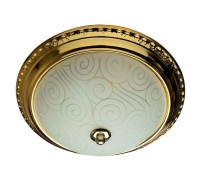 Потолочный светильник Alta A3013PL-2GO Arte Lamp