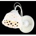 Бра Wicker A6616AP-1WG Arte Lamp