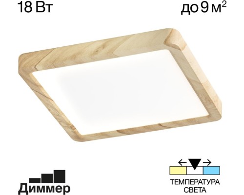 Настенно-потолочный светильник Бейсик CL738K182V Citilux