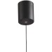 Подвесной светильник Livin LH8028/1P-BK-PBK-SGD Lumien Hall