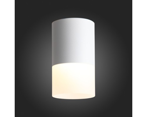 Точечный светильник Ottu ST100.502.10 ST Luce