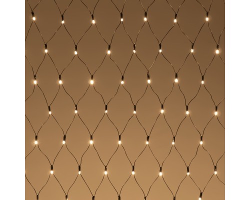 Гирлянда Сети NTL256CAP-11-2WW Laitcom