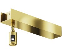 Основание потолочное Accessories for tracks Flarity TRA156C-BB1-BS Maytoni
