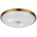 Настенно-потолочный светильник Pelow 4956/5 Odeon Light