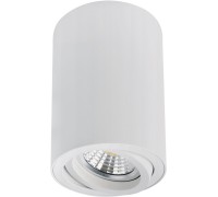 Точечный светильник Sentry A1566PL-1WH Arte Lamp