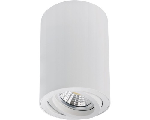 Точечный светильник Sentry A1566PL-1WH Arte Lamp