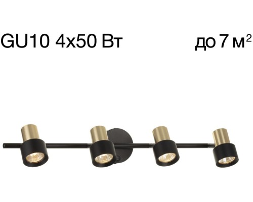 Спот Sat CL505641 Citilux
