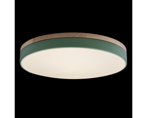 Потолочный светильник Axel 10001/36 Green Loft It