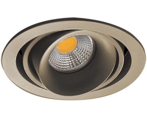 Точечный светильник Lumme DL18615/01WW-R Champagne/Black Donolux