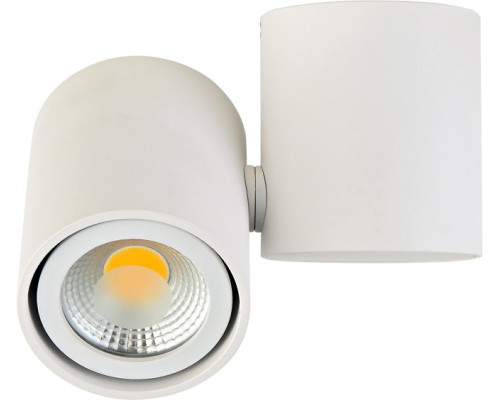 Точечный светильник Eva A1594White/RAL9003 Donolux