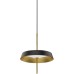 Подвесной светильник MD18001061 MD18001061-1A  black/gold DeLight Collection