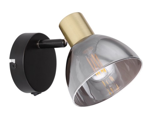 Спот Jay 54305-1 Globo