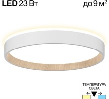 Настенно-потолочный светильник Etalon CL750240 Citilux