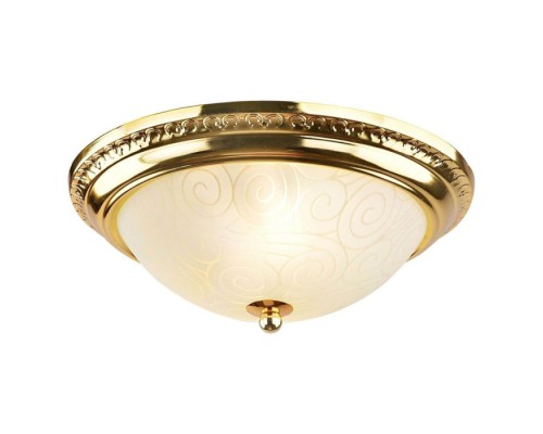 Потолочный светильник Alta A3013PL-2GO Arte Lamp