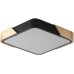 Потолочный светильник Alberro ZRS.01281.36 Zortes