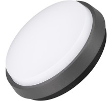 Потолочный светильник уличный GIRO 029948 Arlight