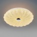 Потолочный светильник Arco Shell 225630 Lightstar