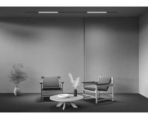 Трековый светильник Basis TR074-2-20W3K-B Maytoni