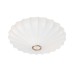 Потолочный светильник Cocoon A6090PL-2WH Arte Lamp