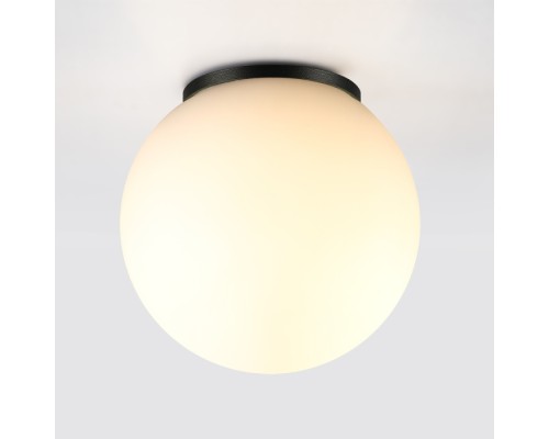 Потолочный светильник уличный Viva 7124/1C Odeon Light