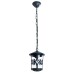 Уличный светильник подвесной Persia A1455SO-1BG Arte Lamp