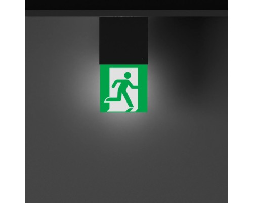 Аварийный светильник EMERGENCY 057966 Arlight