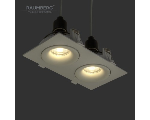 Точечный светильник  R202Wh Raumberg