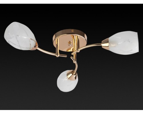 Потолочная люстра Lucy TL7120X-03FG TopLight