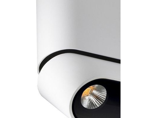 Спот Фергус 8005/3CS-WT-BK Lumien Hall