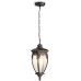 Уличный светильник подвесной Fleur O414PL-01BZ Maytoni