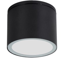 Потолочный светильник уличный Piautos A1913PF-1BK Arte Lamp