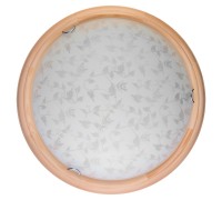 Настенно-потолочный светильник Beatrice TL9280Y-00PN TopLight